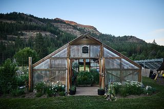 A greenhouse sits at the edge of a garden, with flowers and hoses by the entrance and forested hills rising behind it in the evening light.